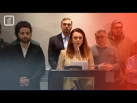 ნონა მამულაშვილის მიმართვა ვოლოდიმირ ზელენსკის